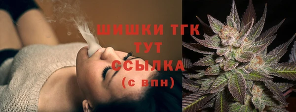 шишки Аркадак