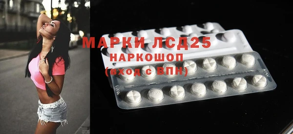 шишки Аркадак