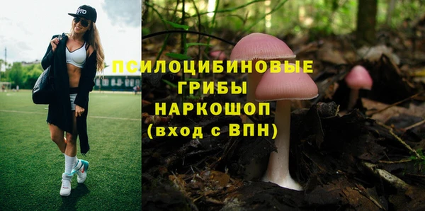 соль курить ск Армянск