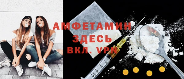 шишки Аркадак