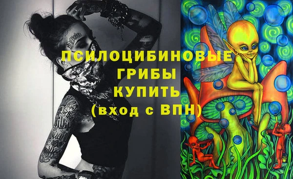 шишки Аркадак