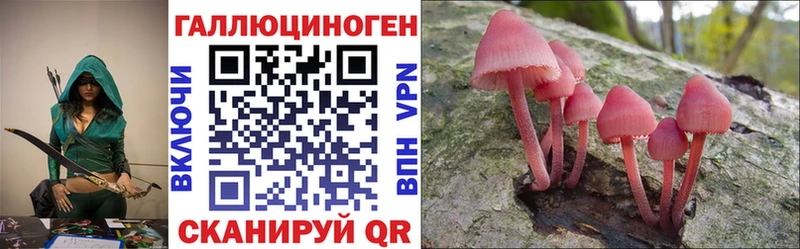 дарк нет клад  Сегежа  Псилоцибиновые грибы Magic Shrooms  где купить наркотик 