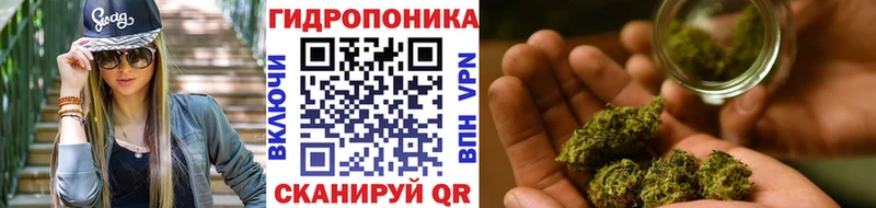 Конопля Ganja  нарко площадка формула  Сегежа  сколько стоит 